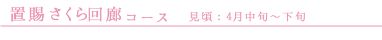置賜さくら回廊コース